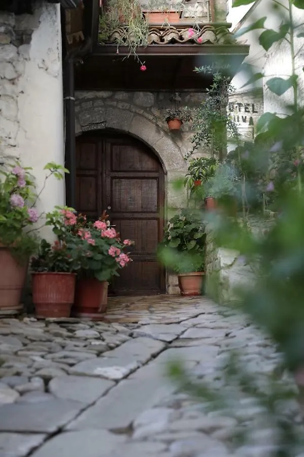 Guest House Mikel Berat Bed & Breakfast